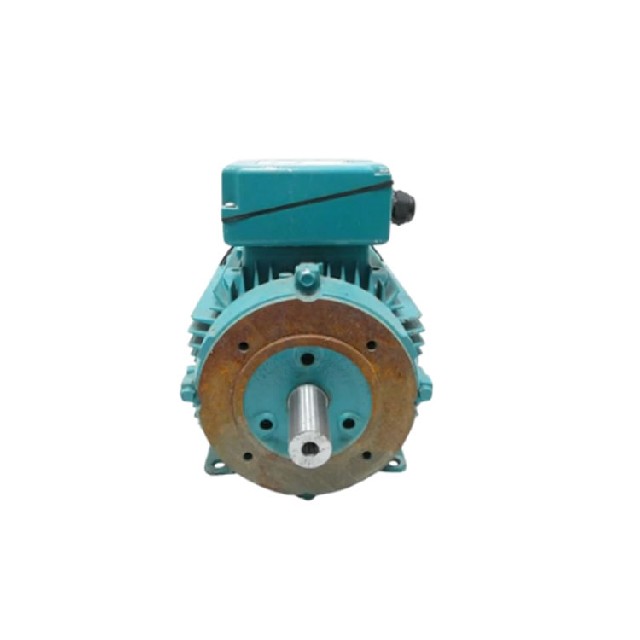 Brook Crompton WP-DA100LTF-C4 三相感應(yīng)電動機