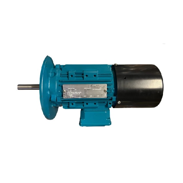 Brook Crompton DA71F-H 三相交流電動機