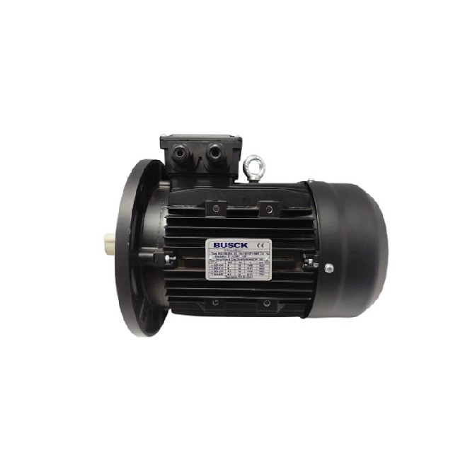Busck MS 100LB-4 B5 三相異步電動(dòng)機(jī)